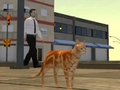 เครื่องจำลองเมืองแมว  เกมออนไลน์
