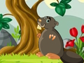 หลบหนีจากเปลือก  เกมออนไลน์
