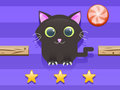 ความท้าทายของแมว  เกมออนไลน์
