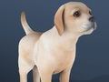 สัตว์เลี้ยง IDLE  เกมออนไลน์