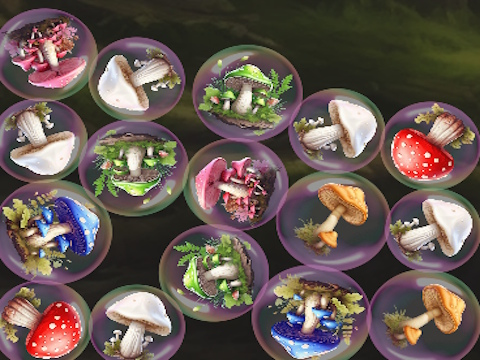 รวมเห็ด!  เกมออนไลน์