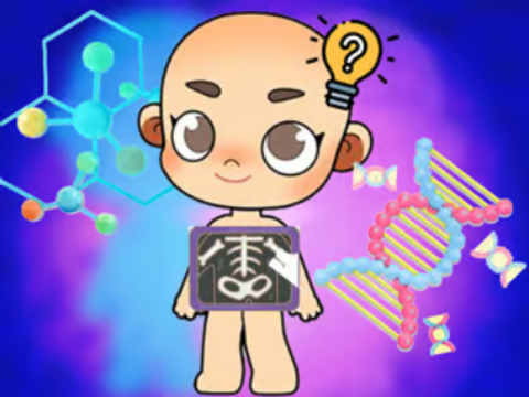 แบบทดสอบเด็ก: วิทยาศาสตร์ร่างกาย  เกมออนไลน์