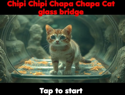 Chipi Chipi Chapa Chapa Cat Glass Bridge เกมออนไลน์