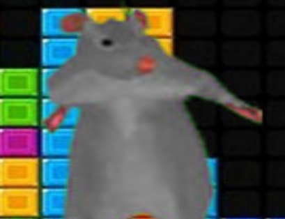 Ratomilton Falling Blocks  เกมออนไลน์