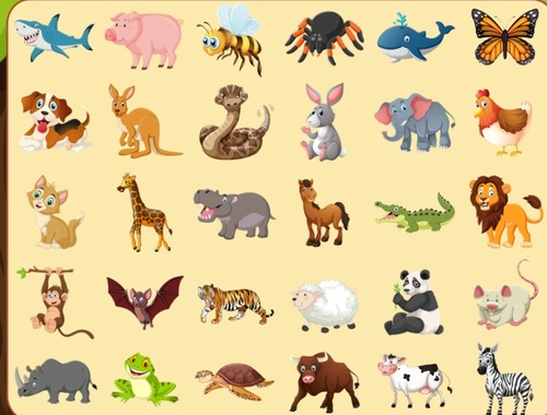 ค้นพบสัตว์  เกมออนไลน์