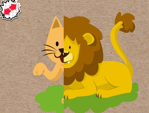 จับคู่สัตว์  เกมออนไลน์