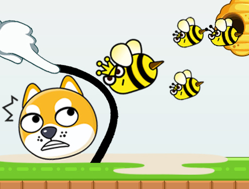 ช่วยสัตว์เลี้ยงของฉัน  เกมออนไลน์
