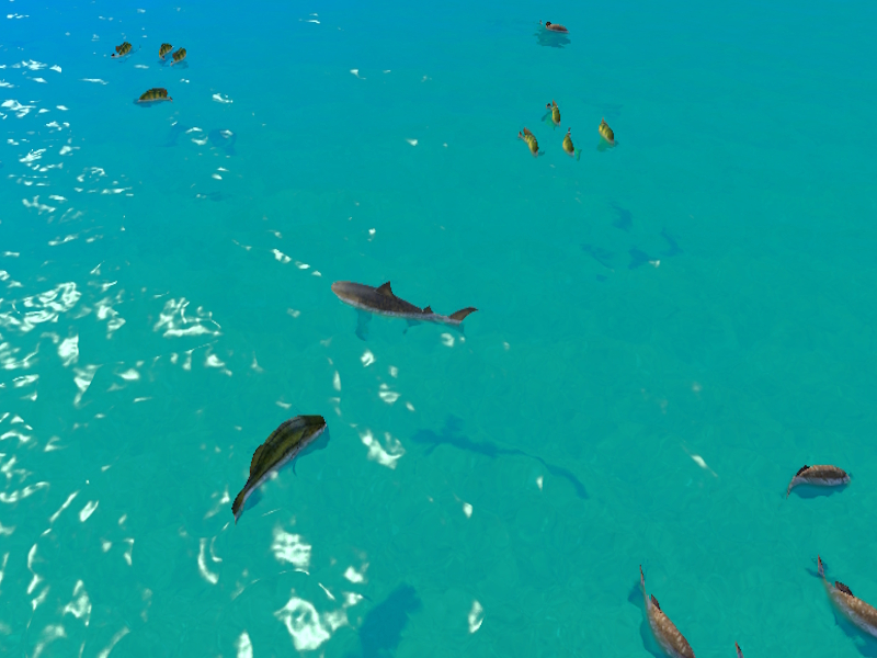 Hungry Shark Hunt เกมออนไลน์