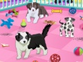 การดูแลสัตว์เลี้ยงลูกสุนัข  เกมออนไลน์