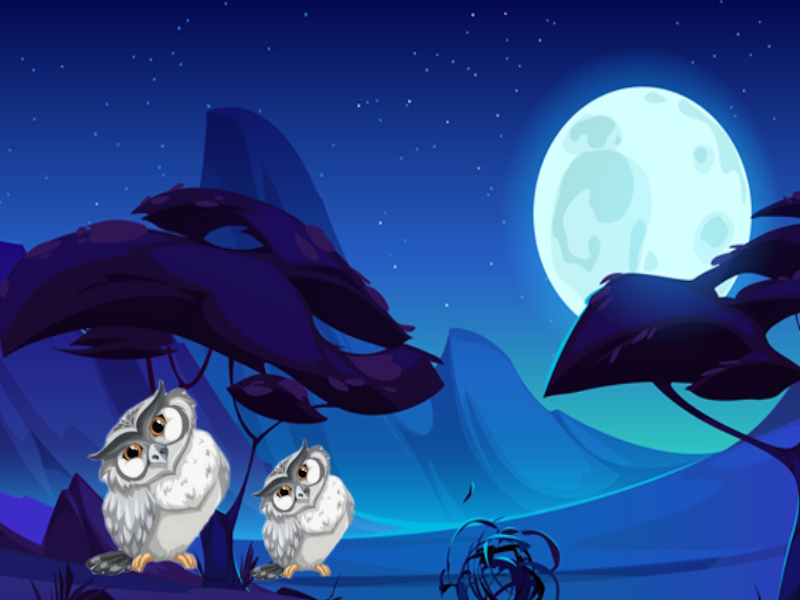Night Paws Rescue เกมออนไลน์